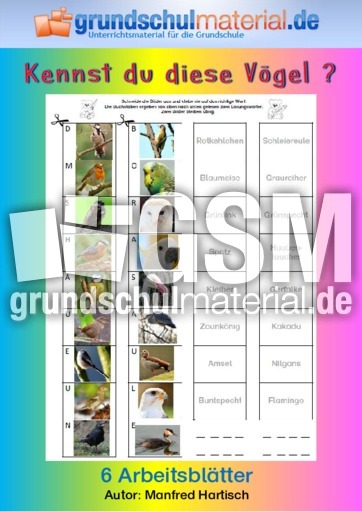 Kennst du diese Vögel 2.pdf
